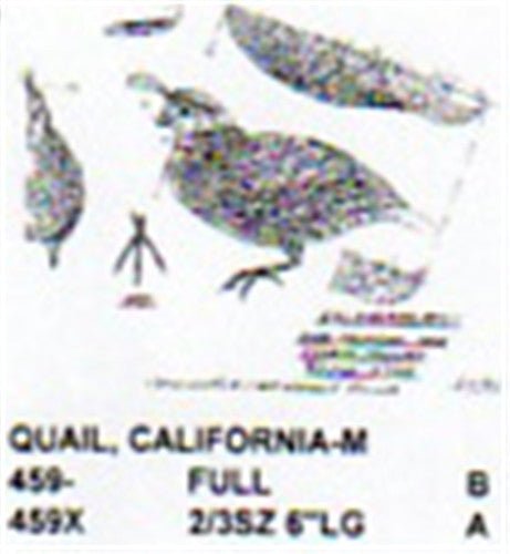 California Quail Standing Carving Pattern - Cherry Tree Toys