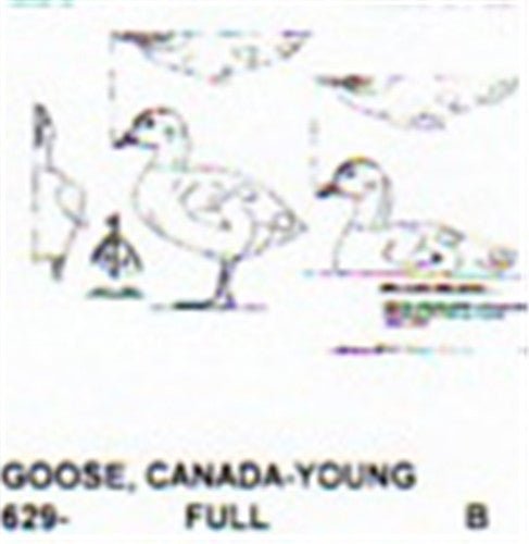 Canada Goose Gosling/Standing - Cherry Tree Toys