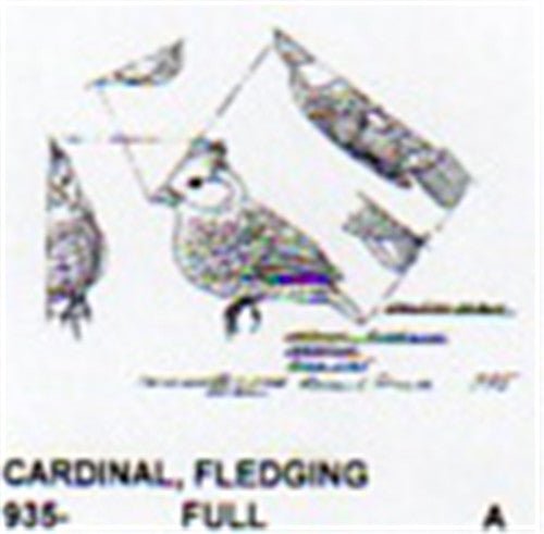 Cardinal Fledging Carving Pattern - Cherry Tree Toys