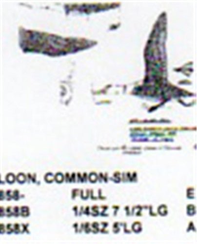 Common Loon Flying - Taking Off 1/6 Size - Cherry Tree Toys