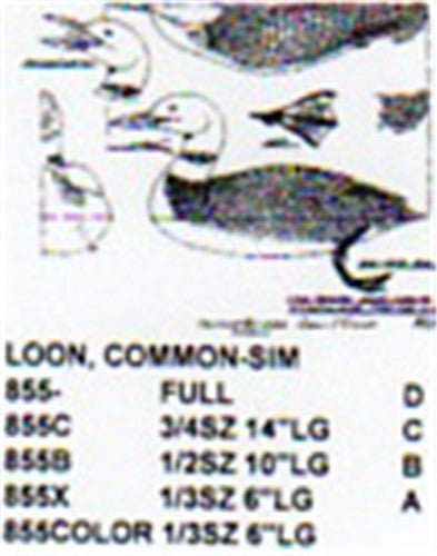 Common Loon On Water Carving Pattern - Cherry Tree Toys