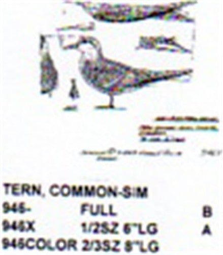 Common Tern Standing 1/2 Size Carving Pattern - Cherry Tree Toys