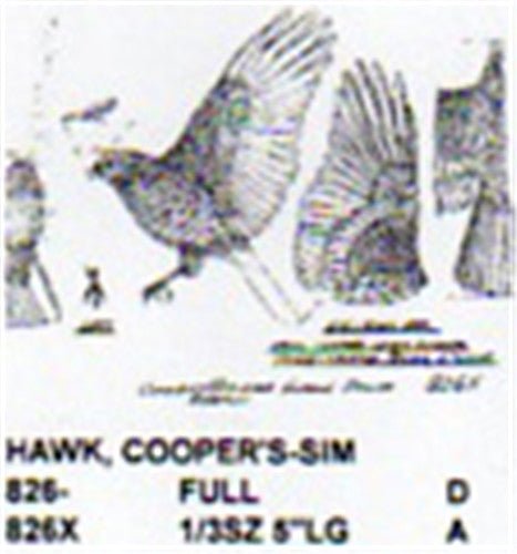 Cooper's Hawk Flying Carving Pattern - Cherry Tree Toys