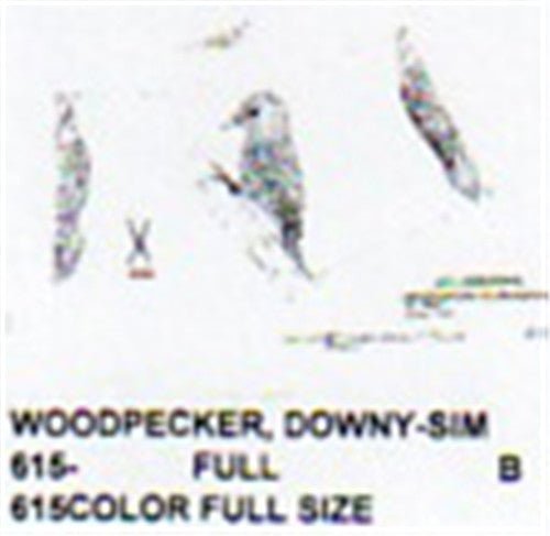 Downy Woodpecker On Tree Carving Pattern - Cherry Tree Toys