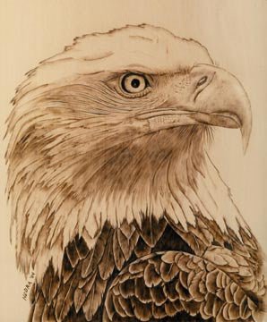 Eagle Head Woodburning Plan - Cherry Tree Toys