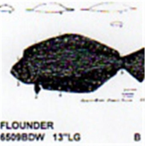 Flounder Mouth Closed 13" Long Color - Cherry Tree Toys