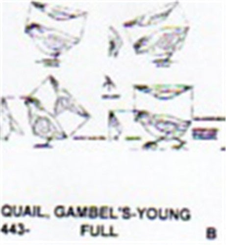 Gambel's Quail Downy Carving Pattern - Cherry Tree Toys