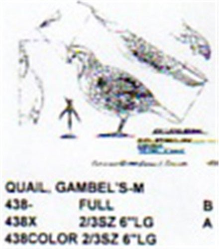 Gambel's Quail Standing Carving Pattern - Cherry Tree Toys