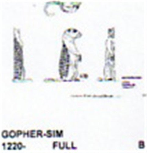 Gopher Setting Up - Cherry Tree Toys