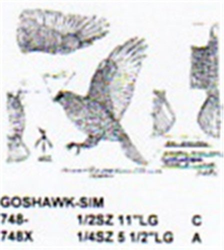 Goshawk Flying/Landing Carving Pattern - Cherry Tree Toys