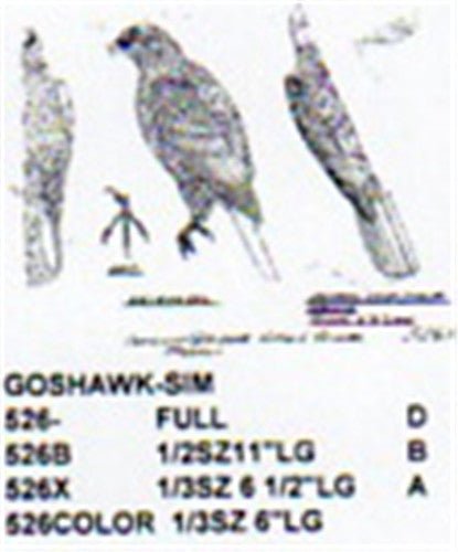 Goshawk Perching Carving Pattern - Cherry Tree Toys