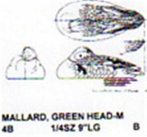 Green Head Mallard Male On Water - Sleeping - Cherry Tree Toys