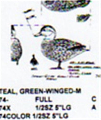 Green Winged Teal Standing Carving Pattern - Cherry Tree Toys