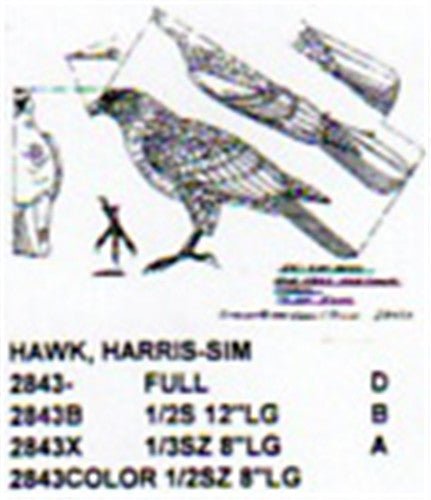 Harris Hawk Standing Carving Pattern - Cherry Tree Toys