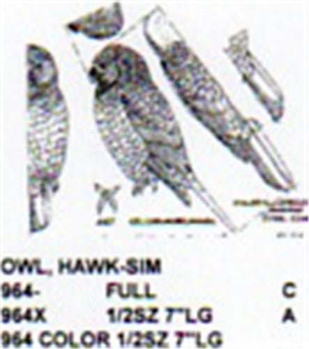 Hawk Owl Perching Carving Pattern - Cherry Tree Toys