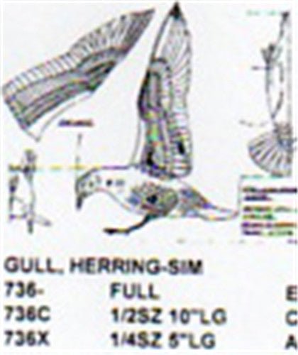 Herring Gull Landing Carving Pattern - Cherry Tree Toys