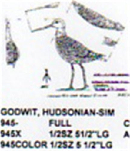 Hudsonian Godwit Standing 1/2 Size - Cherry Tree Toys