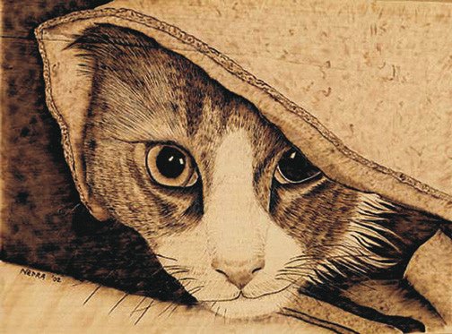 Kitten Woodburning Plan - Cherry Tree Toys