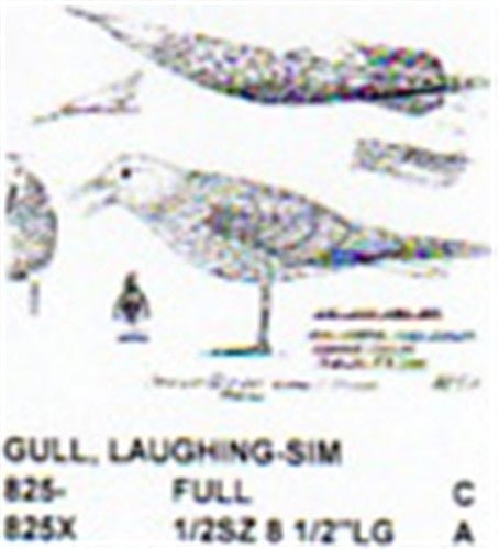 Laughing Gull Standing/Calling - Cherry Tree Toys