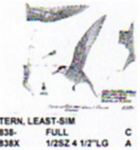 Least Tern Landing Carving Pattern - Cherry Tree Toys