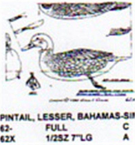 Lesser Bahamas Pintail Male Resting On Water Carving Pattern - Cherry Tree Toys