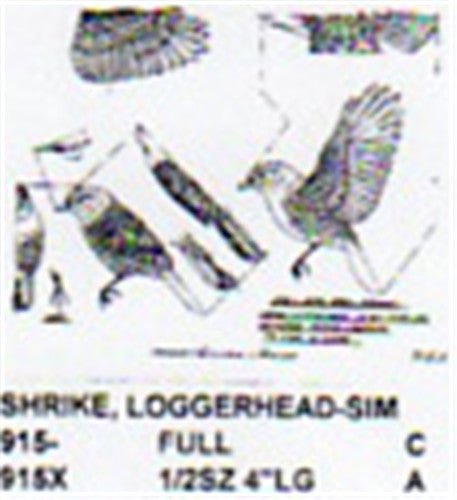 Logger Head Shrike - Cherry Tree Toys