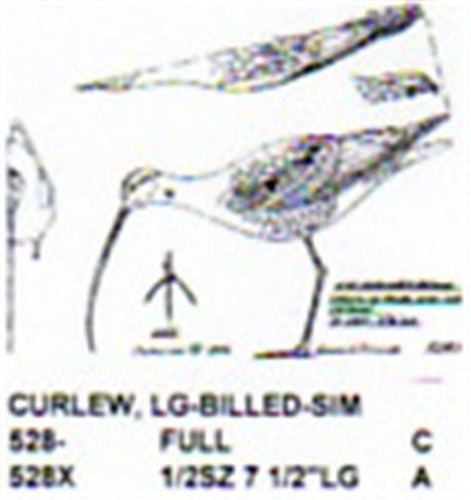 Long Billed Curlew Feeding Carving Pattern - Cherry Tree Toys