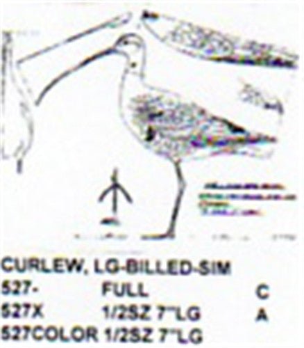 Long Billed Curlew Standing Carving Pattern - Cherry Tree Toys