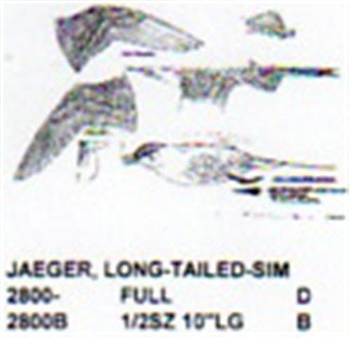 Long Tailed Jaeger Flying - Soaring 1/2 Size - Cherry Tree Toys