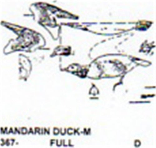 Mandarin Duck Standing/Wings Open Carving Pattern - Cherry Tree Toys