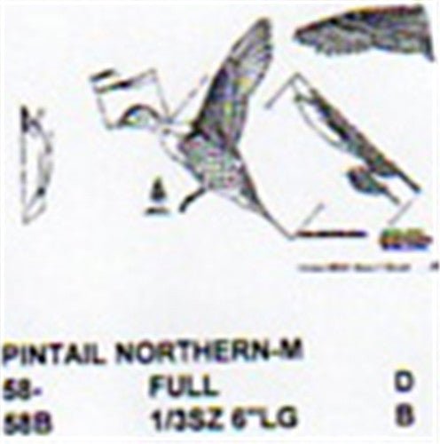 Northern Pintail Flying/Landing Carving Pattern - Cherry Tree Toys