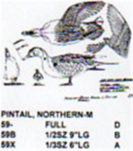 Northern Pintail Male Leg and Wing Stretch Carving Pattern - Cherry Tree Toys