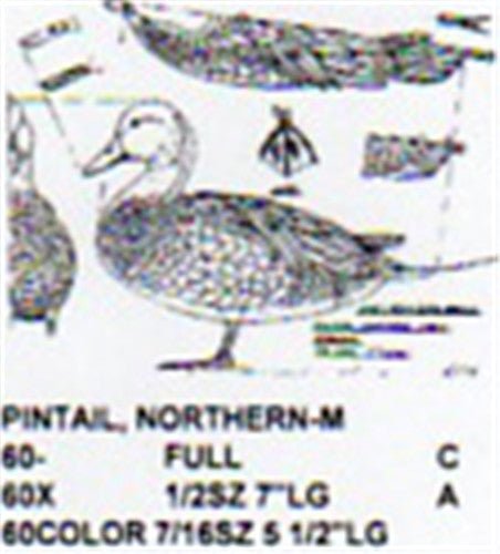 Northern Pintail Standing Carving Pattern - Cherry Tree Toys