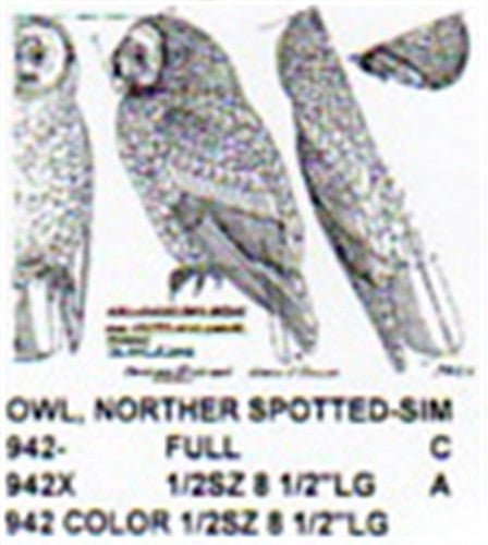 Northern Spotted Owl Perching Carving Pattern - Cherry Tree Toys