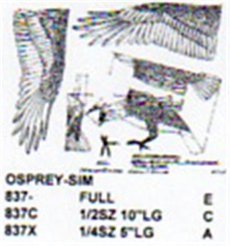 Osprey Flying/Landing Carving Pattern - Cherry Tree Toys