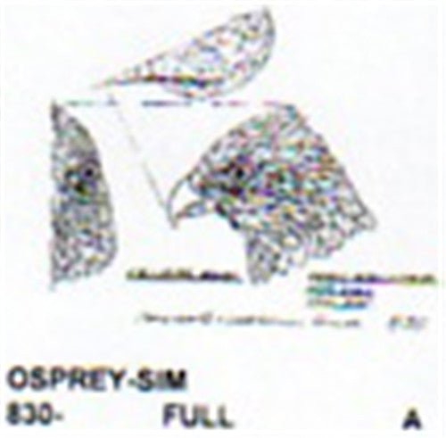 Osprey Head Only Carving Pattern - Cherry Tree Toys