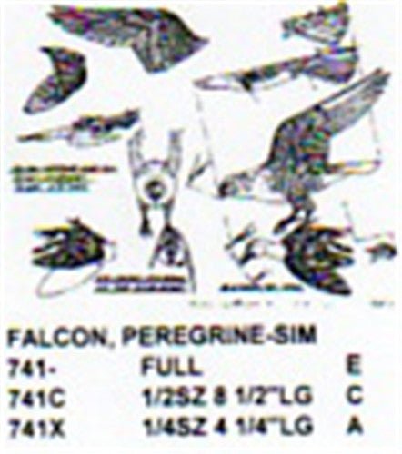 Peregrine Falcon Flying/Attacking Carving Pattern - Cherry Tree Toys