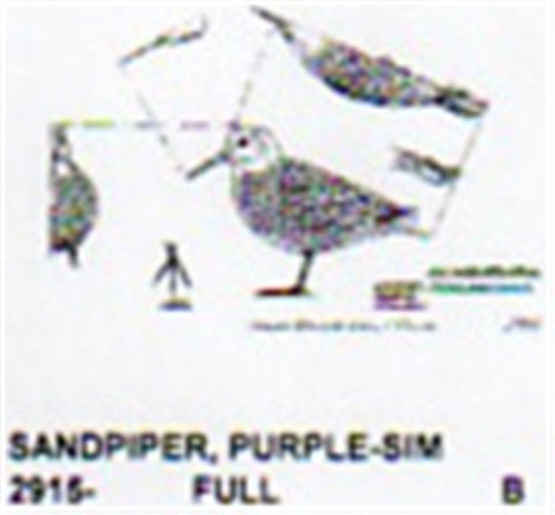 Purple Sandpiper Standing - Cherry Tree Toys