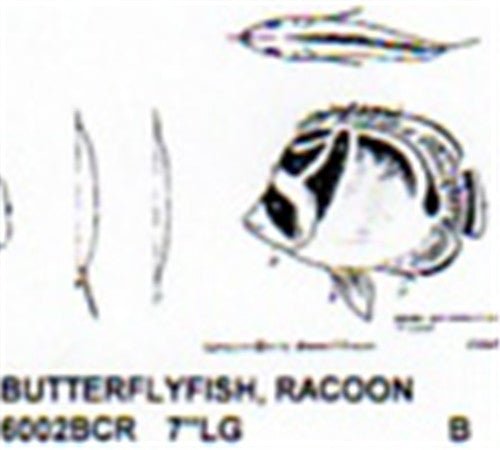 Raccoon Butterfly Fish Carving Pattern - Cherry Tree Toys