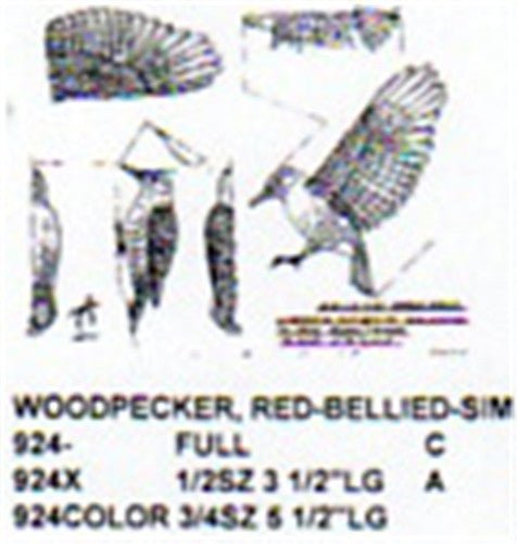 Red Bellied Woodpecker 3/4 Size Color - Cherry Tree Toys
