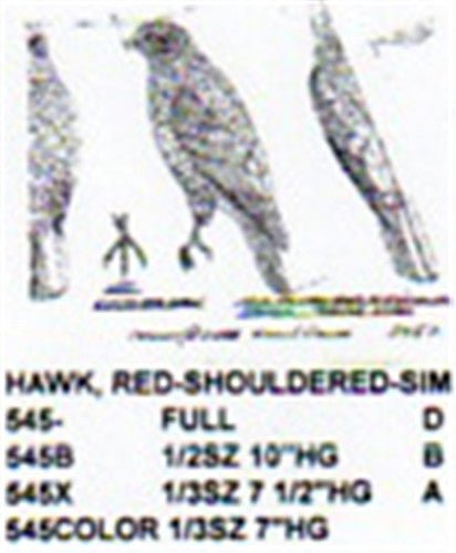 Red Shouldered Hawk Perching Carving Pattern - Cherry Tree Toys