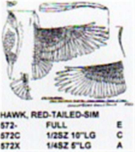 Red Tailed Hawk Flying Carving Pattern - Cherry Tree Toys