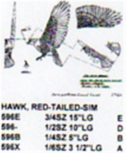 Red Tailed Hawk Landing Carving Pattern - Cherry Tree Toys