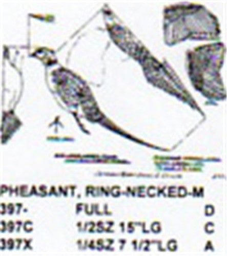 Ring Necked Pheasant Flying Carving Pattern - Cherry Tree Toys