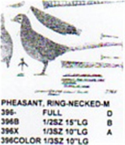 Ring Necked Pheasant Standing Carving Pattern - Cherry Tree Toys