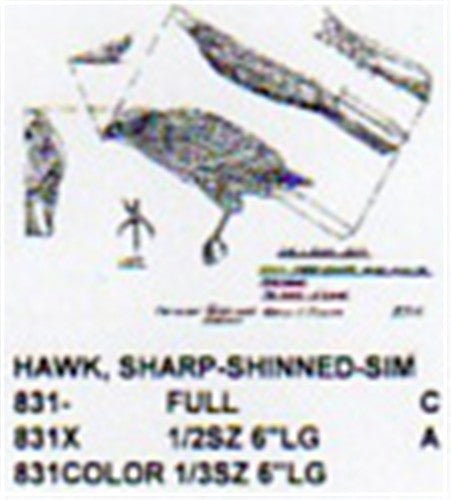 Sharp Shinned Hawk Perching Carving Pattern - Cherry Tree Toys