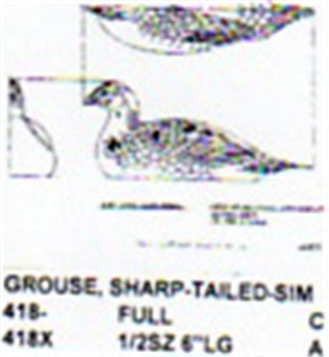 Sharp Tailed Grouse Resting Carving Pattern - Cherry Tree Toys