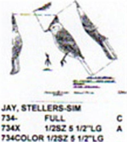 Stellers Jay - Cherry Tree Toys