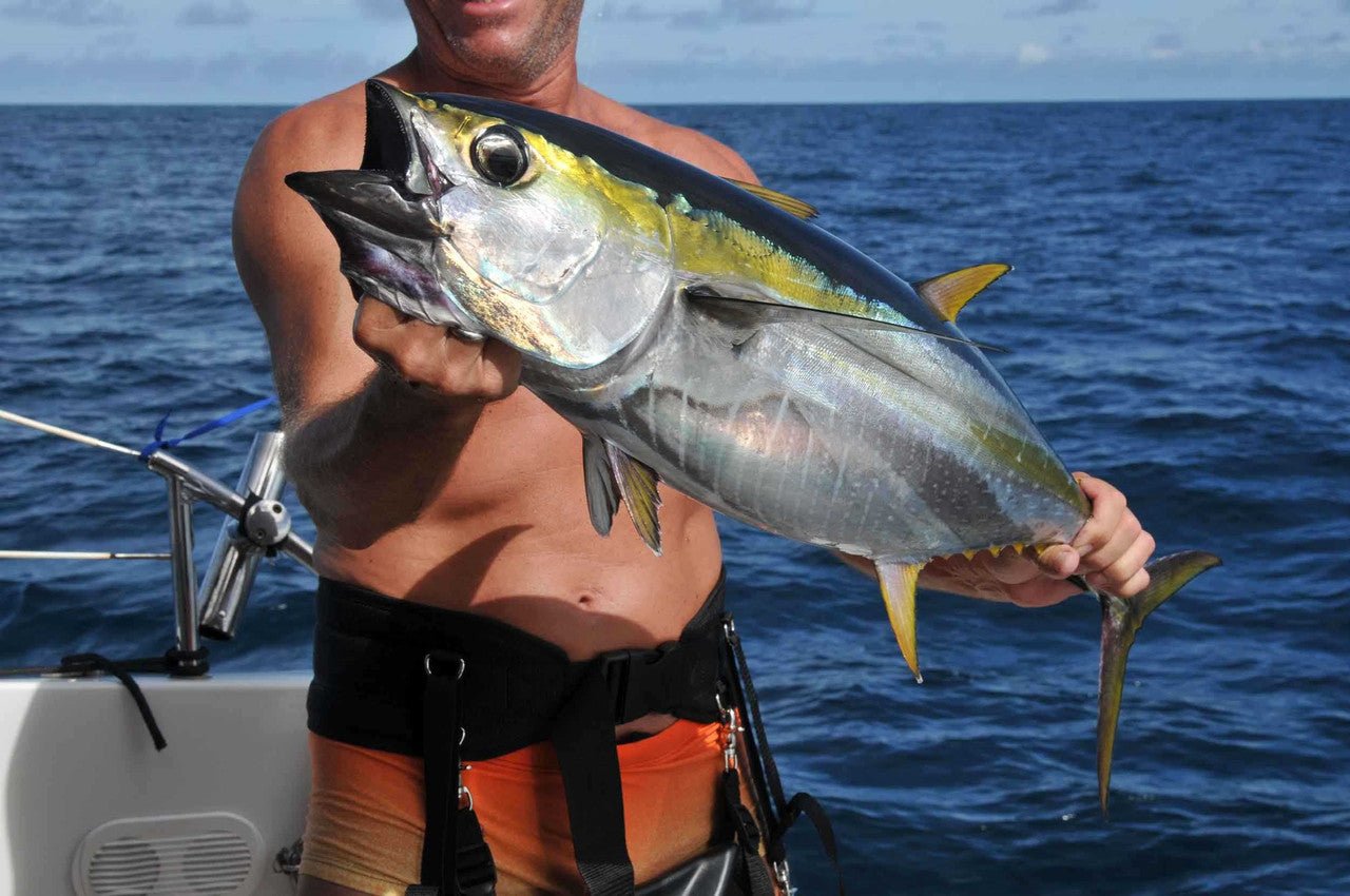 Yellowfin Tuna 19" - Cherry Tree Toys